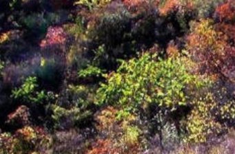 仙臺旅游區(qū)