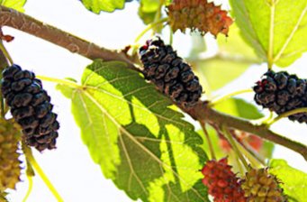 飛龍谷風(fēng)景區(qū)