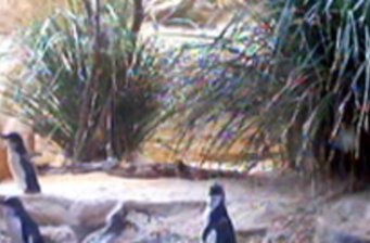 北京游樂(lè)園幻像水族館