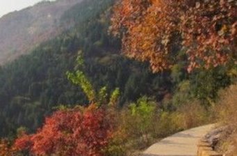 北京西山國家森林公園