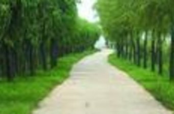 大興融青生態(tài)園葡萄采摘