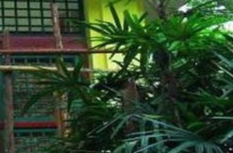 桂山書(shū)院遺址