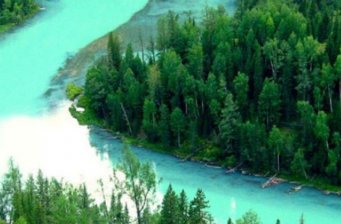 月亮灣體育活動中心