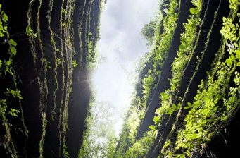 湘西紅石林國(guó)家地質(zhì)公園