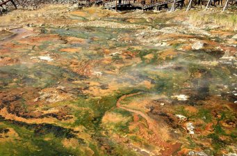 長(zhǎng)白山聚龍溫泉群