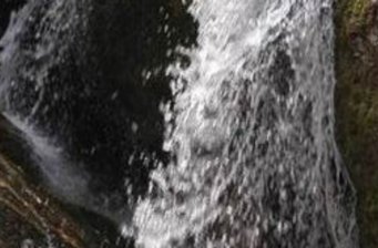 太平國家森林公園