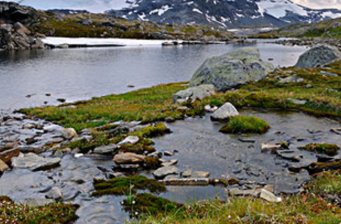 崗鄉(xiāng)自然保護區(qū)