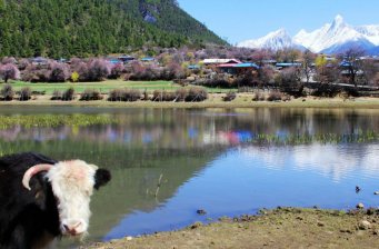 嘎朗國家濕地公園