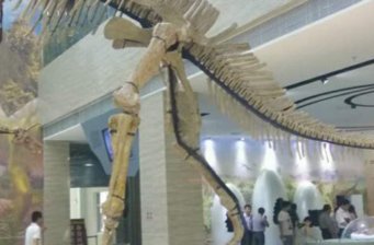 萊陽白堊紀地質(zhì)博物館