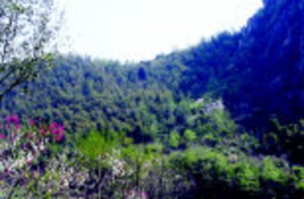 桃源生態(tài)旅游區(qū)