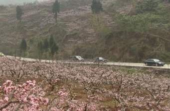 桃花山風(fēng)景區(qū)