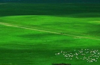 西烏珠穆沁草原