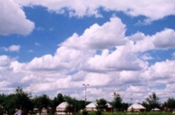 新世紀(jì)青年生態(tài)園