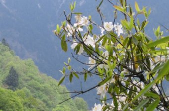 片口自然保護區(qū)