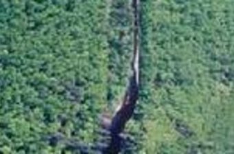 大沾河國(guó)家森林公園