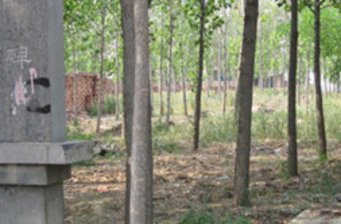 四烈士紀(jì)念碑