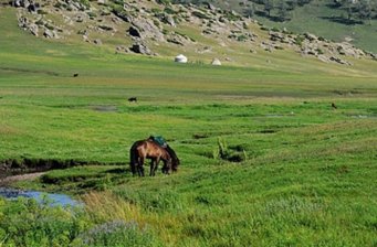 切木爾切克隕石群