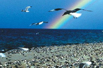 青海湖鳥島景區(qū)