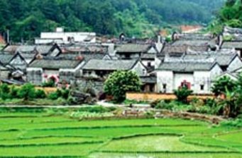 楊池古村