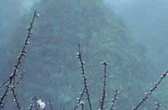 星斗山森林公園