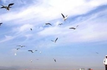 巴州博湖縣阿洪口