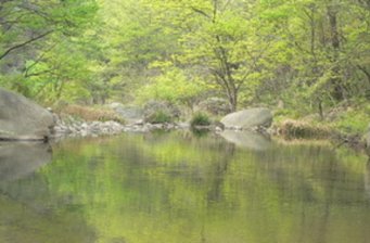 天臺風景區(qū)