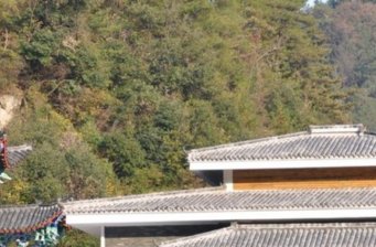 桃花沖森林公園