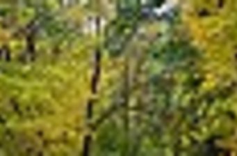 西部歡樂(lè)園