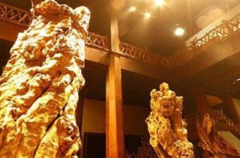 中國(guó)根藝美術(shù)博覽園