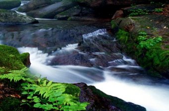 崗山國家森林公園
