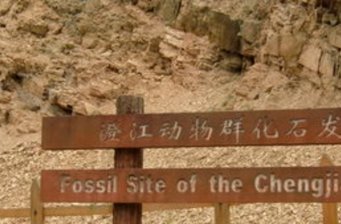 澄江動物化石群