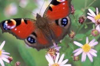 麒麟休閑農(nóng)場