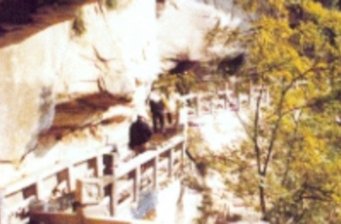 金城山森林公園