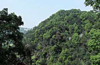 旗山國家森林公園