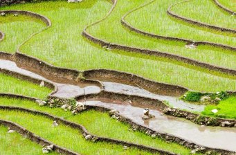 上堡梯田