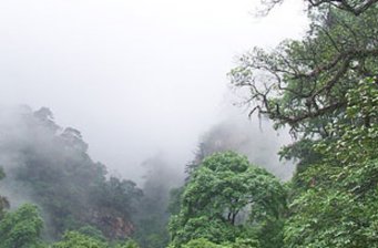 峨嵋峰自然保護(hù)區(qū)