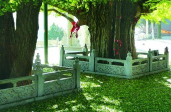 城頂山生態(tài)風景區(qū)