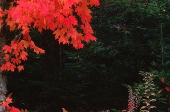 銀樹溝生態(tài)旅游區(qū)