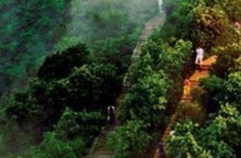 長(zhǎng)安郊野公園