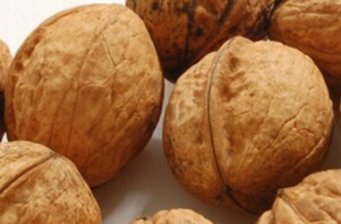 太行黃花山風(fēng)景區(qū)