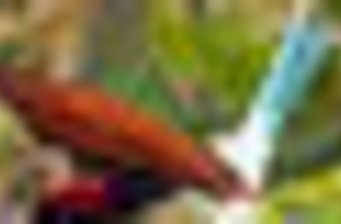 董寨鳥類保護(hù)區(qū)