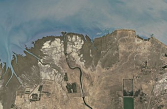 黃河口生態(tài)旅游區(qū)