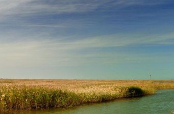 黃河入?？?></a></div>
<div   id=