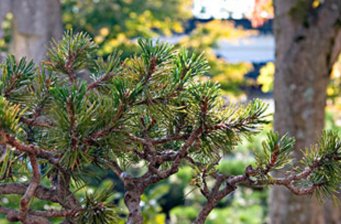 趙執(zhí)信紀(jì)念館