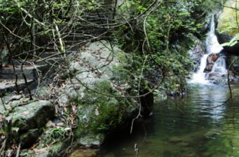 大容山國(guó)家森林公園