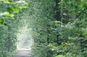 明池森林游樂區(qū)