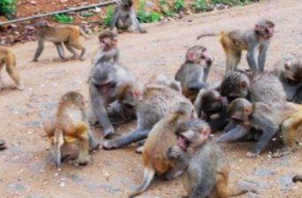 寶鼎生態(tài)旅游區(qū)