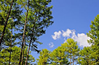 玉皇尖森林公園