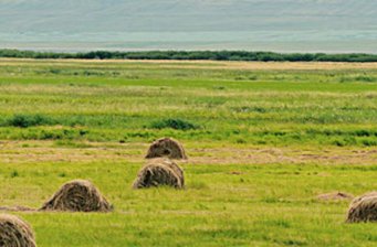 紅星自然保護(hù)區(qū)