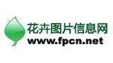 花卉圖片信息網(wǎng)